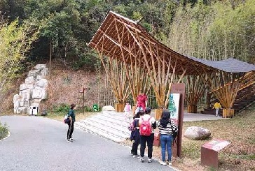 奋斗：阳春三月正当时